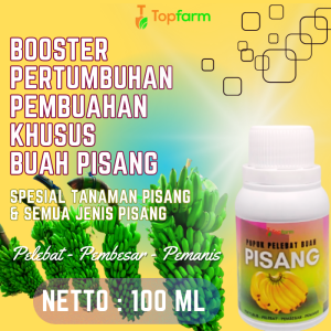 Pupuk Cair Buah Super Lebat / Pupuk Khusus Buah Buahan / Pupuk Pelebat Buah Pisang / Pupuk Pembesar Buah Pisang / Pupuk Cair Buat Pohon Pisang