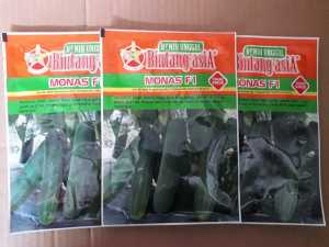 Benih Timun Monas F1 20gr Bintang Asia