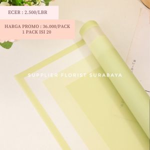 SFS - [1 PACK 20 LEMBAR] TB KERTAS BUNGA CELLOPHANE TB LINE LIST TRAWANG TRANSPARANT FULL COLOR INSIDE KERTAS WRAP WARNA SEMBUR KERTAS KOREA STYLE BUKET BUNGA KOREAN DIY FLORIST FLOWER WRAPPING PAPER