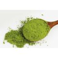 [HCM]Bột trà xanh (matcha). 