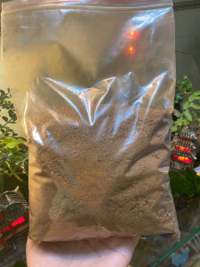 Đất kết dính tạo tường Rêu Terrarium tiểu cảnh bán cạn