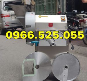 Máy thái rau củ quả đa năng con chì lát thái sợi máy thái hạt lựu công nghiệp cao cấp HÀNG NGUYÊN ĐAI