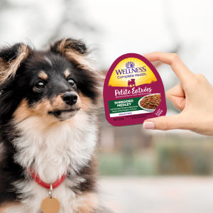 [Carton Deals] Wellness Complete Health Petite Entrees Small Breed Dog Wet Food (3oz | 85g x 12 Pcs)