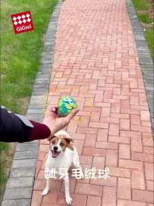 Gigwi Expensive Is Dog Toy Ball Stuffed Sound Molar Long Lasting Relieving Stuffy and RingingToy Calling Ball4566