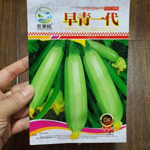 Hạt giống bì ngòi trái dài vỏ xanh hạt giống nhập khẩu nội địa Trung -YẾN LIÊN SHOP