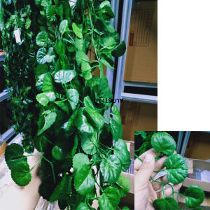 *หลายแบบ* ใบไม้ตกแต่ง ใบไม้ปลอม ไม้เลื้อยปลอม ใบไม้ประดับ ใบไม้ตกแต่ง พร็อพถ่ายรูป