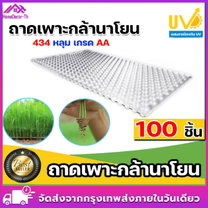 ถาดเพาะกล้านาโยน มี 434 หลุม แพ็ค 50 ชิ้น ถาดเพาะนาโยน กล้านาโยน นาโยน เพาะกล้านาโยน ถาดนาโยน ผสมสารป้องกัน UV ถาดเพาะกล้านาโยน 561 หลุม มีให้เลือก