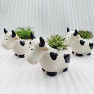 Chậu men - Bò sữa lớn vui vẻ cười miệng chậu 10cm chiều cao 17cm