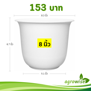 กระถาง กระถางต้นไม้ มินิมอล ถ้วยจีน ขนาด 8 นิ้ว สีขาว 5 ใบ ชิ้น อัน