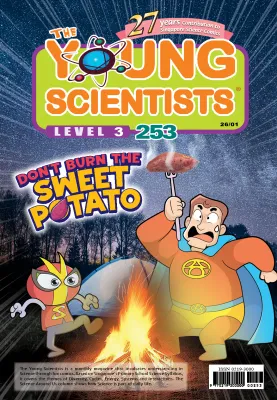 The Young Scientists 2026 Level 3- 253 Dont Burn The Sweet Potato