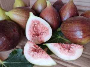 BUAH TIN 1/2 KG ORGANIK DIPANEN DADAKAN