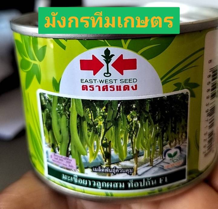 เมล็ดพันธุ์มะเขือยาวลูกผสม ท๊อปกัน ติดผลดก