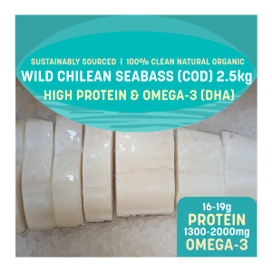 Wild Sustainable Cod Fish / Chilean Seabass Sustainable Whole Headless (about 2.5/3.5/4.5 kg)