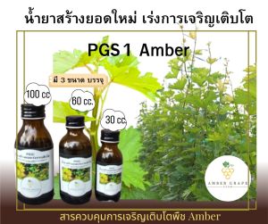 น้ำยาสร้างยอดใหม่เร่งการเจริญเติบโตPGS1 ขนาด30ซีซี