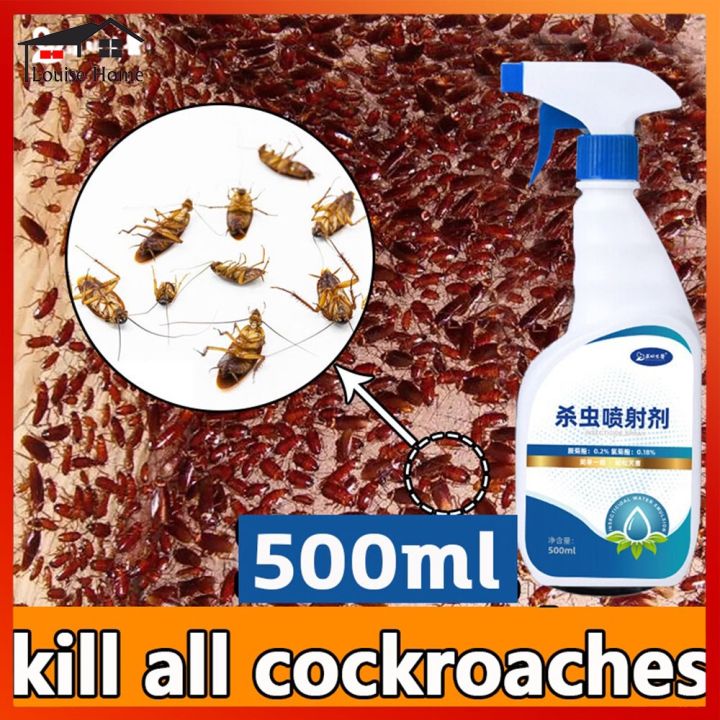 【COD】 500ml cockroach killer Cockroach Bait Cockroach trap Safe and non ...