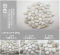 หินนำเข้า จากบาหลี สีขาวขัดมัน (1 kg.) หินของแท้จากธรรมชาติ ไม่ขึ้นตะใคร่น้ำ เงางามตลอด หิน กรวดนำเข้าบาหลี เบอร์ 0-3 หินใส่ขอบสระว่ายน้ำ. 