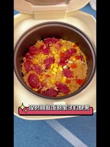 Electric Rice Cooker Rice cooker  Electric Rice Cooker With Steamer  Small Rice Cooker Electric Cooker 110V Household Soup Heat Preservation and Cooking Are All OK 电饭煲