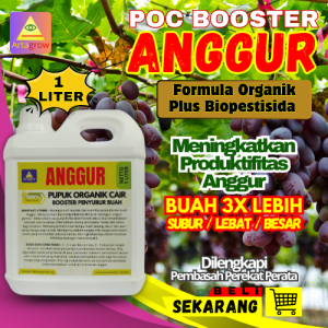Pupuk Cair Anggur Memacu Pertumbuhan /Pupuk Anggur Booster Cepat Berbuah Lebih Lebat Besar Dan Manis