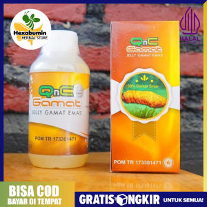 QNC JELLY GAMAT - TERIPANG EMAS ASLI 100% ORIGINAL Di Kota Surabaya