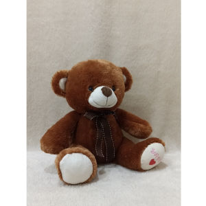 Boneka Bear Telapak Sweet love Ukuran L
