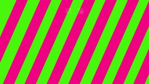 3pcs Cartoon Owl Travel Lotion and Shampoo Squeeze Bottles Set Portable Empty Dispenser Containers for Travel Flip Cap for Toiletries and