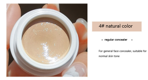 Hide Blemish Concealer Cream - Full Coverage Waterproof | For Dark Circles & Acne Scars | Professional Makeup Artist Grade