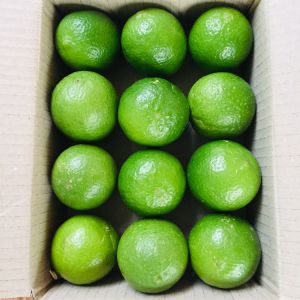 มะนาวไร้มะนาวคั้นน้ำ ขนาด12ลูก