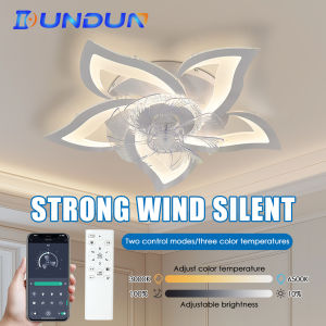 DunDun LED Strong Wind Fan Lights Wuji Dimming Cceiling Fan Lights Silent Ceiling Fan Lights APP Control Smart Fan Lights