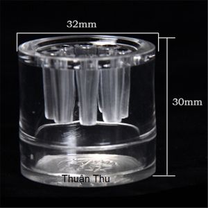 Bẫy Sán 8 Lỗ Chuyên Dụng Cho Bể Thủy Sinh Hồ Tép Cảnh