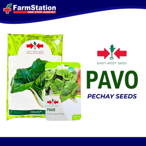 East-West Seeds Pavo Pechay Black Behi 1000gms