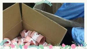 Hot-selling Birds Nest White Tomato PQQ Ergothioneine Collagen Powder Manufacturer Collagen