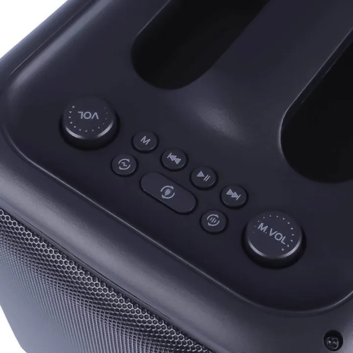 BRODU 6.5 inch Big Karaoke Bluetooth Speaker with Wireless Mic 4inch/6 ...
