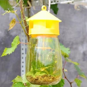 MARISSAWI Reusable Yellow Effective for Orchard Plastic Fruit Fly Trap Drosophila Trap Insect Control Tool Fruit Fly Catcher
