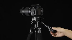 140cm/55 Zomei Lightweight Floor Tripod Stand 360 Degree Panorama Photography Mount for Camera Travel Video Recording Mobile Phone iPhone Spotlight Binocular Telescope Monocular-152c4c8b