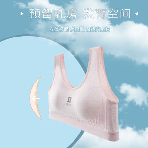 Girls Children Singlet Teenager Training Bra Kanak Kanak Perempuan