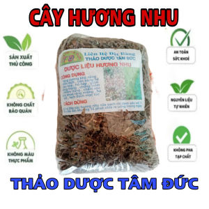 100g cây hương nhu sấy khô