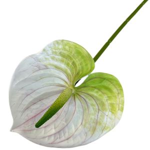 NOONOOR 60cm Artificial Small Anthurium Multicolor Soft Rubber Fake Flower Creative Photo Props Faux Red Palm Home Decoration