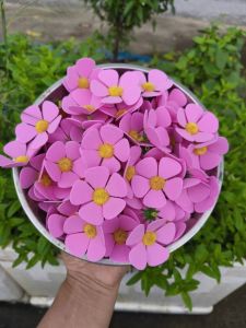 Bịch 100 bông violet trang trí bó hoa - decor chất liệu xốp