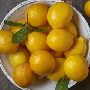 SHAMPO KUCING ANTI KUTU DAN JAMUR WANGI SHAMPOO ANTI BULU RONTOK AMAN UNTUK KUCING KITTEN 100ML