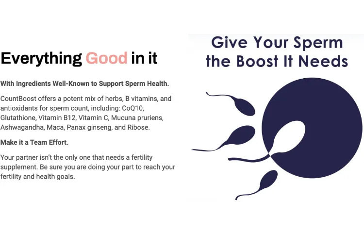 l carnitine vs l cysteine CountBoost for Men, Male Fertility Supplement – For Motile Count Increase