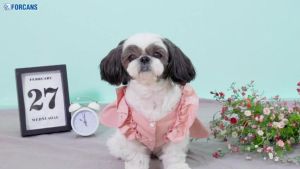 Dog Shampoo & Conditioner 550ml / Pet Perfume & Detangling Spray 300ml  11 Options