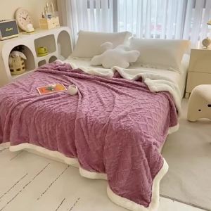 2024 Chăn Lông Cừu Phức Hợp Tafrong Hai Lớp Dày Giữ Ấm Mùa Đông Lông Cừu Văn Phòng Chăn Ngủ Trưa Bán Buôn Chăn Quà Tặng