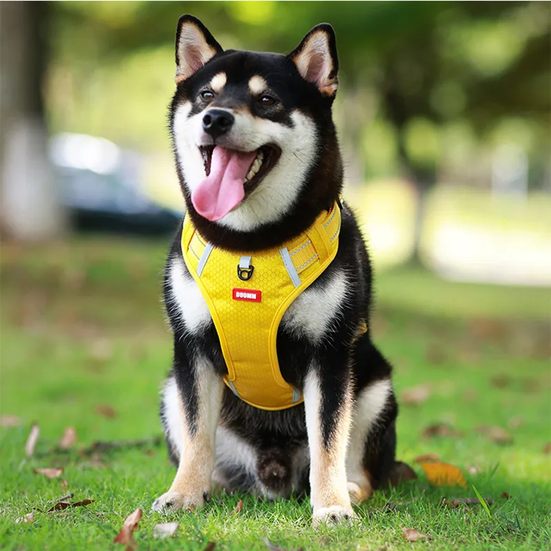 XUDERONG Pet Dog Harness Escape-Proof Reflective Harness for Husky