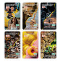 Yes or No Oracle Card ใช่หรือไม่มีการ์ด บัตรเด็คเสี่ยงทาย | ความหมายบนการ์ด | ขนาดใหญ่มาตรฐาน12X7ซม. | ไพ่ทำนาย56-การ์ด | เกมทำนายดวงชะตา | ไพ่ยิปซี ไพ่ออราเคิล ไพ่ยิบซี ไพ่ทาโร่ ไพ่ดูดวง ไพ่ทาโรต์  Tarot Card. 