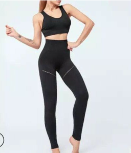 Quick Dry Sports Bra Women Sleeveless Activewear Fitness Gym Sportswear Crop Top Yoga Leggings Set