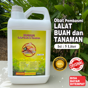 PEMBASMI LALAT TANAMAN 5 Liter | LALAT BUAH | LALAT DAUN | Aman Untuk Tumbuhan | Ramah Lingkungan