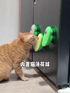 Pet Catnip Brush Cat Hair Removal Brush Cat Scratching Brush Cat Massage Comb Edible Play Supplies