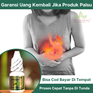Obat Pereda Nyeri Lambung Obat Asam Lambung Naik Obat Lambung Bocor Obat Tukak Lambung Obat Maag Akut / Kronis Obat Perih Lambung Obat Tetes Luka Pada Lambung Obat Sesak Nafas Akibat Asam Lambung Obat Penghilang Nyeri Lambung Dengan Propolis Sm
