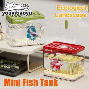 Rubvrenti Mini fish tank transparent LED light desktop aquarium hias rumah tangga office decor small ikan