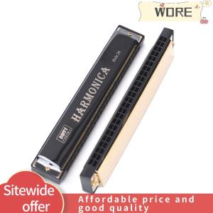 WORE 24ช่องคีย์ของ C เล่นออร์แกน tremolo ออร์แกนปากบลูส์สองแถว